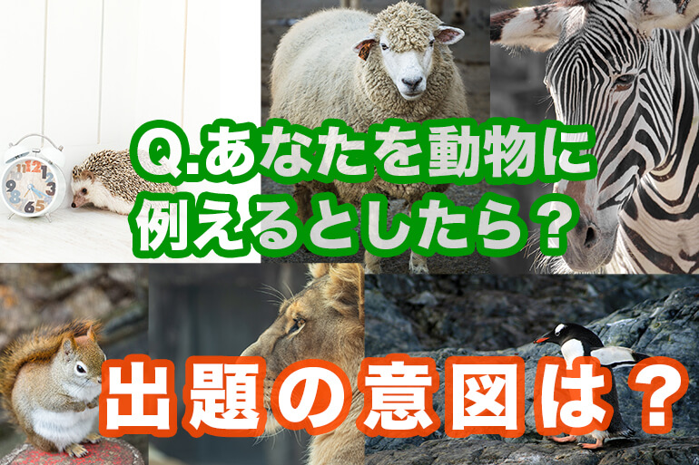 あなたを動物に例えると？という無茶な質問。面接官の意図は？