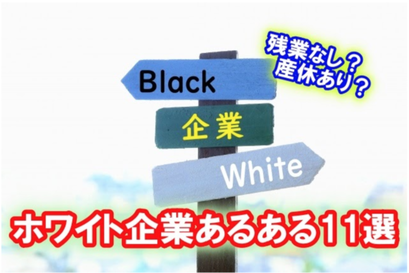 【ホワイト企業あるある11選】就職活動するなら知っておきたい！